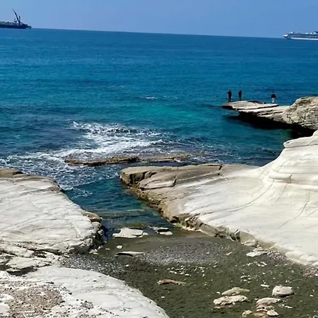 アパート With Large Pool